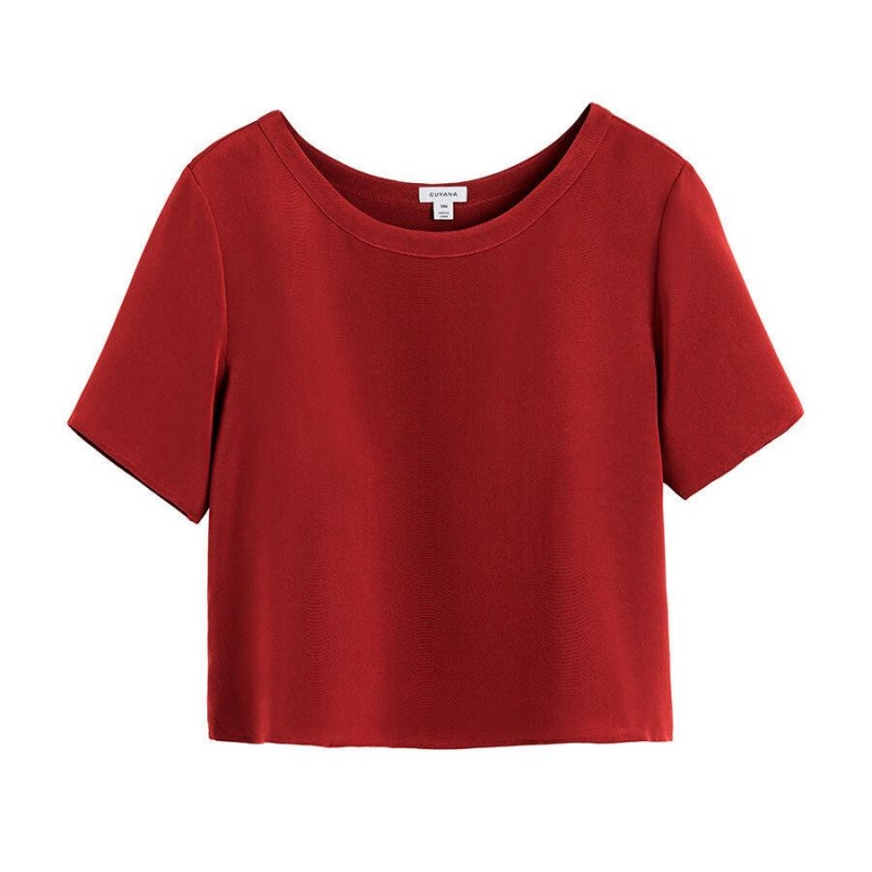 Tricouri Cuyana Silk Cropped Crewneck Tee Dama Rosii | WVY821QB